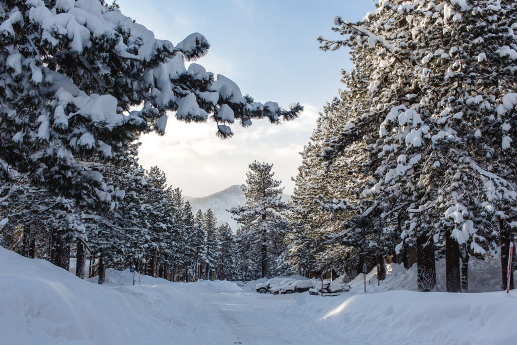 Snow covered cars and road in Mammoth Lakes, CA.