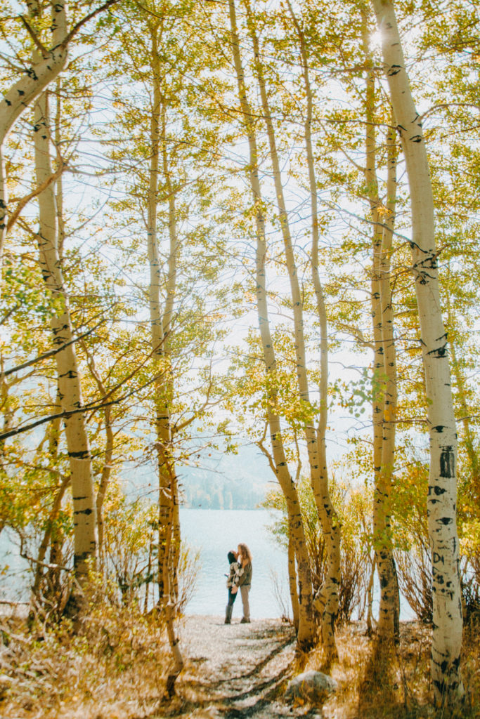 Couple standing among aspen trees.
