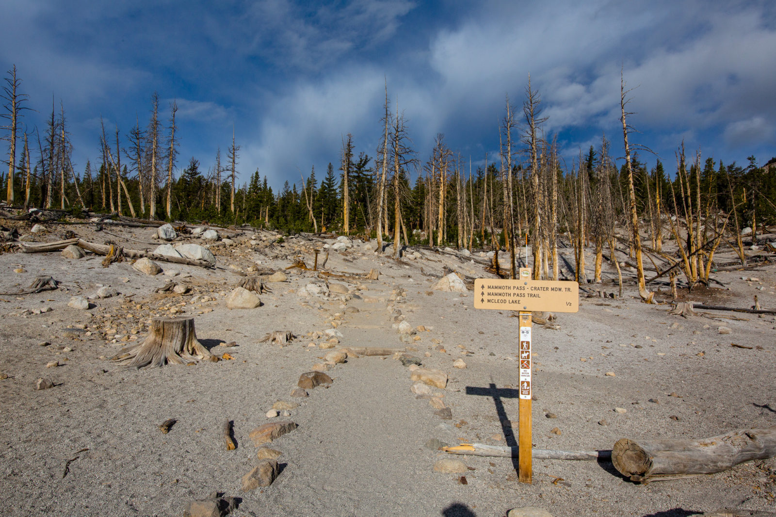How to Hike to McLeod Lake