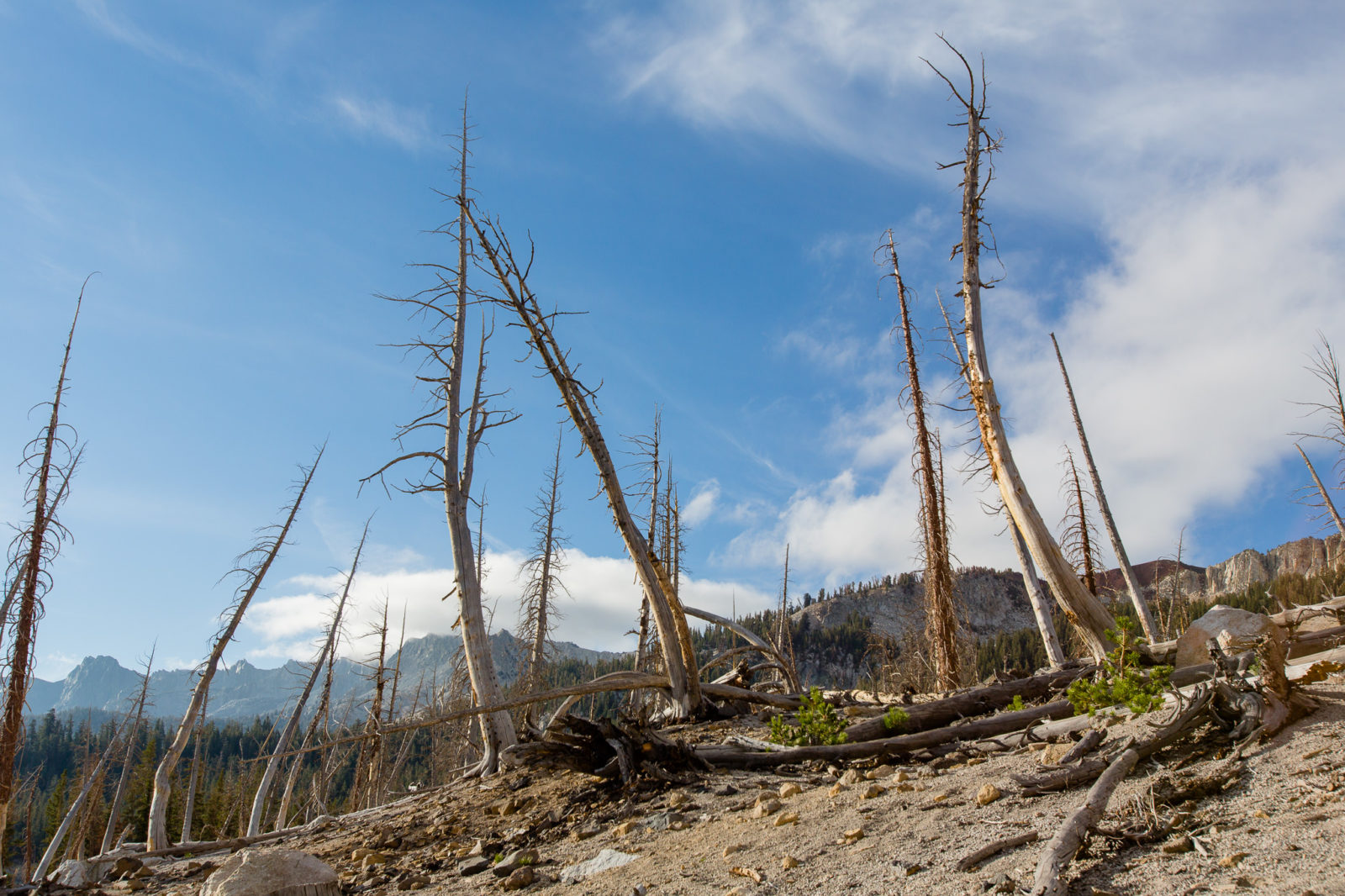 How to Hike to McLeod Lake