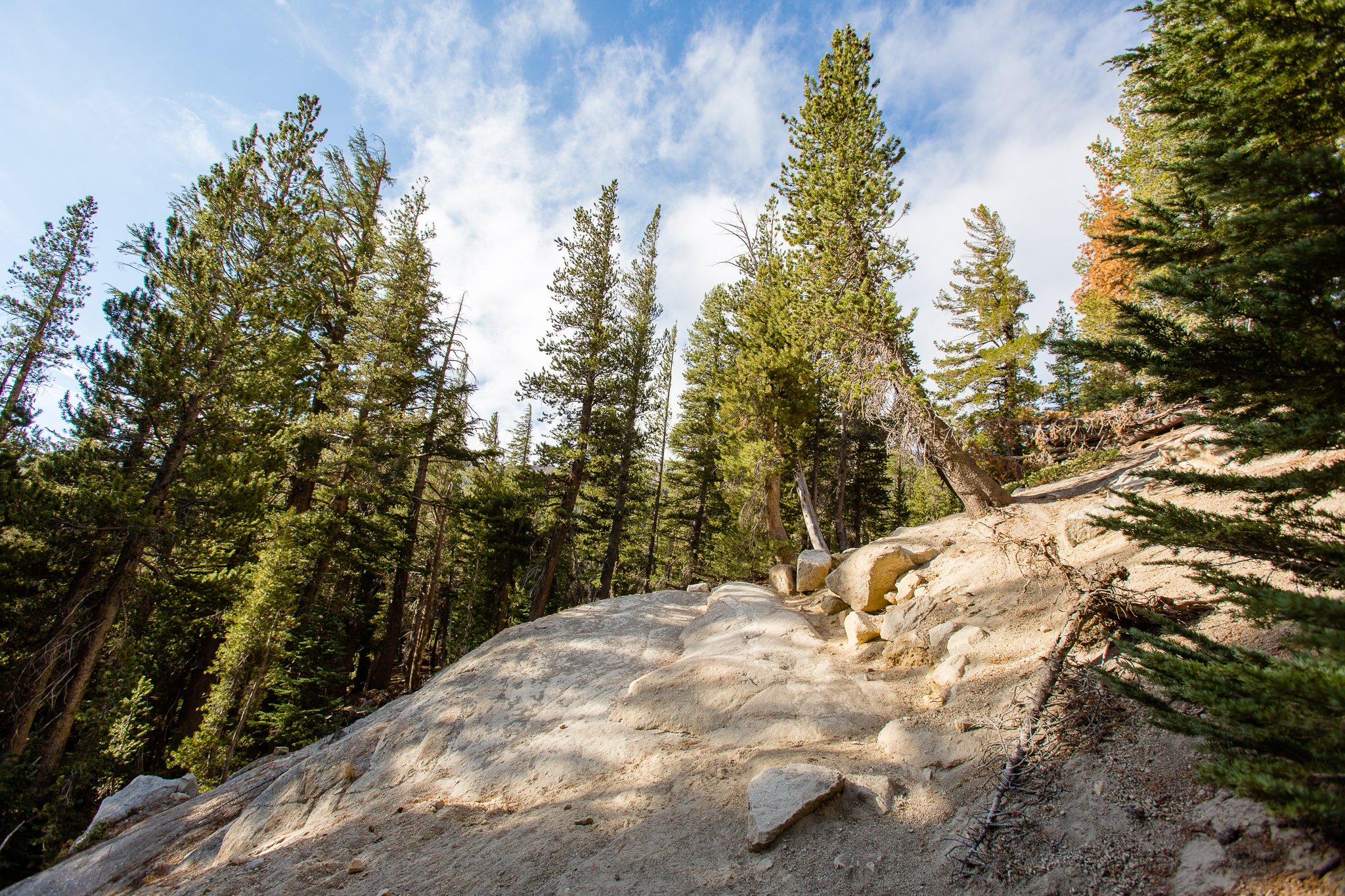 photo of trail to mcleod lake