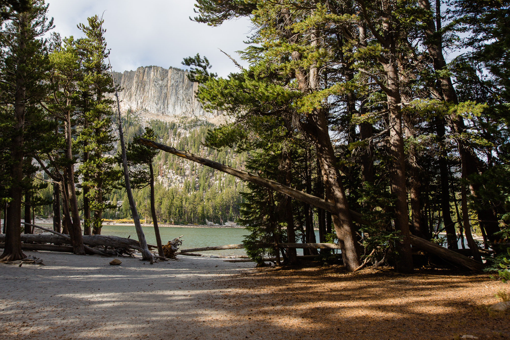 mcleod lake through the trees