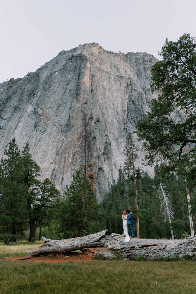 el capitan meadow