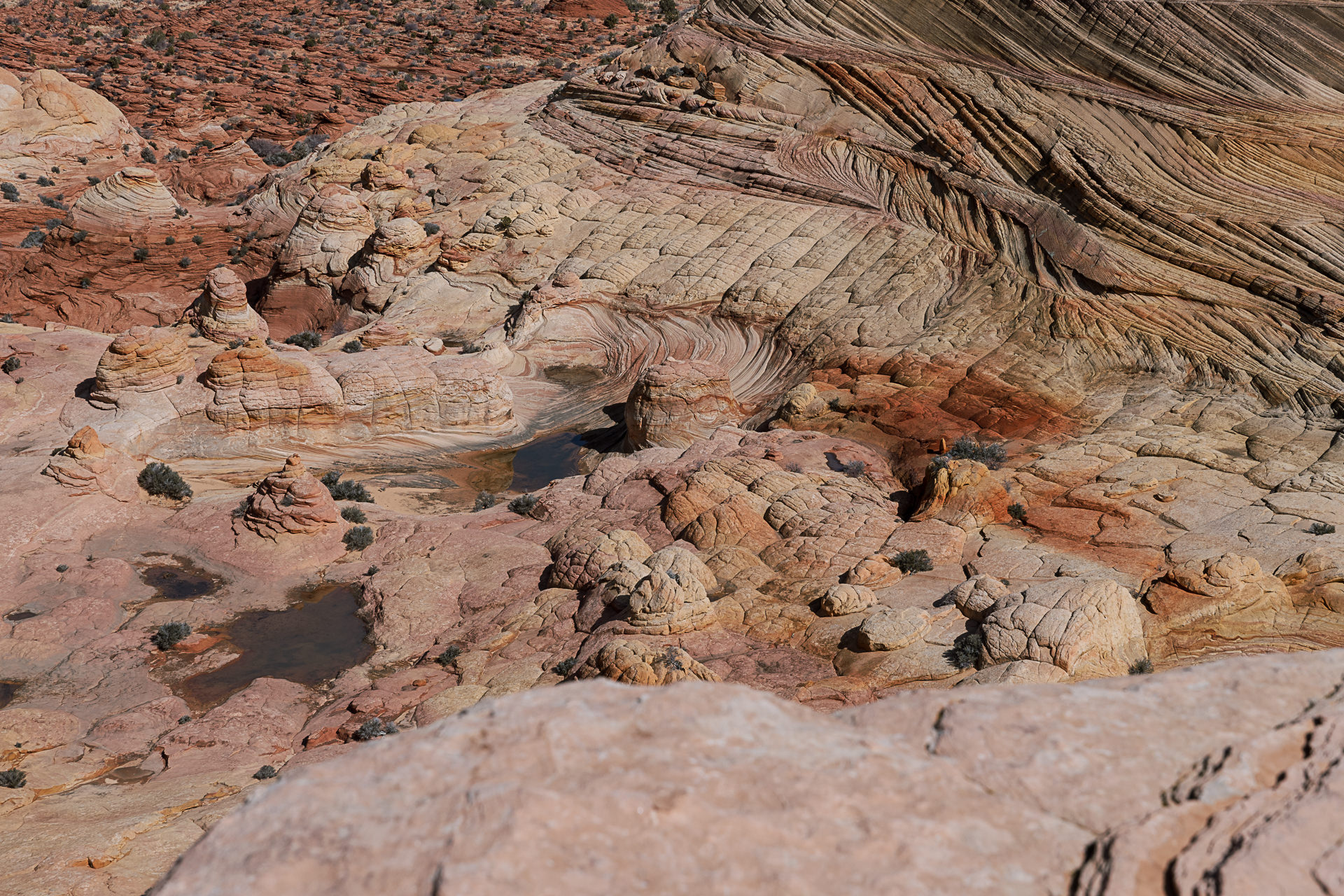 Hikers walking into the sandstone formations